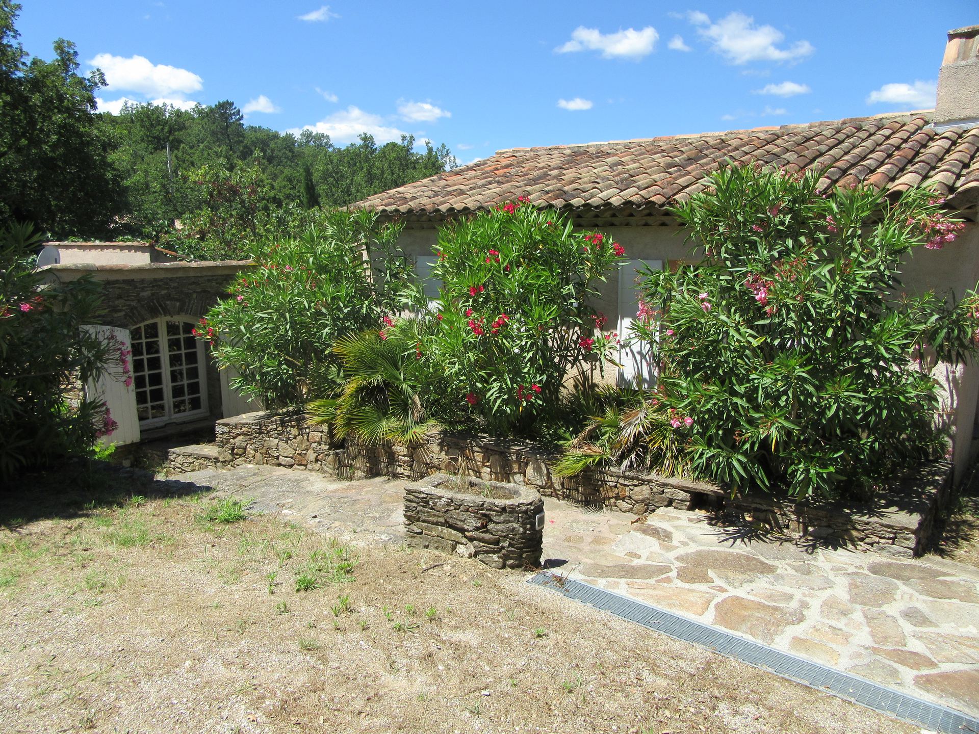 Oleander against the tiled roof