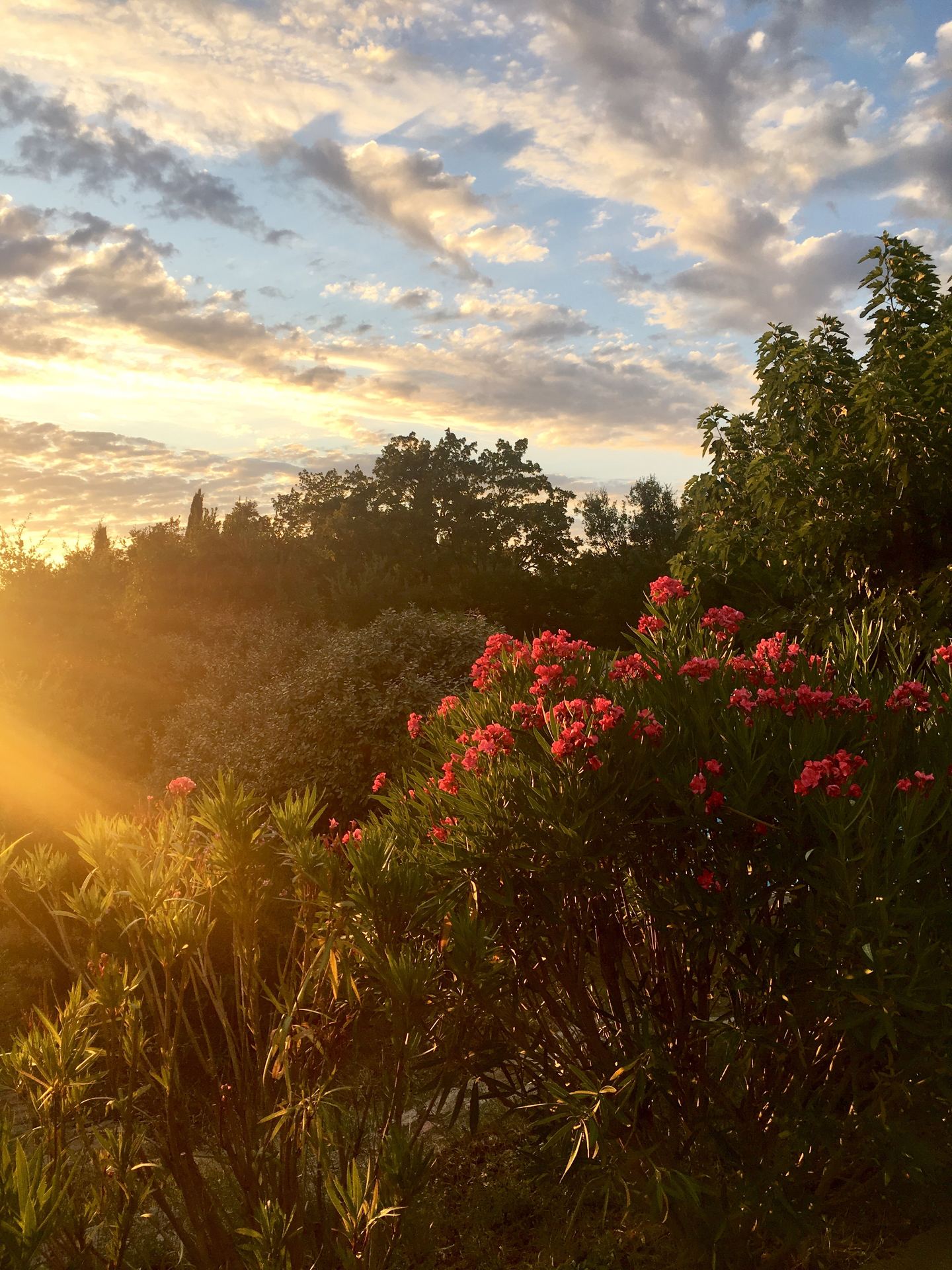 Sunset over the Massif des Maures