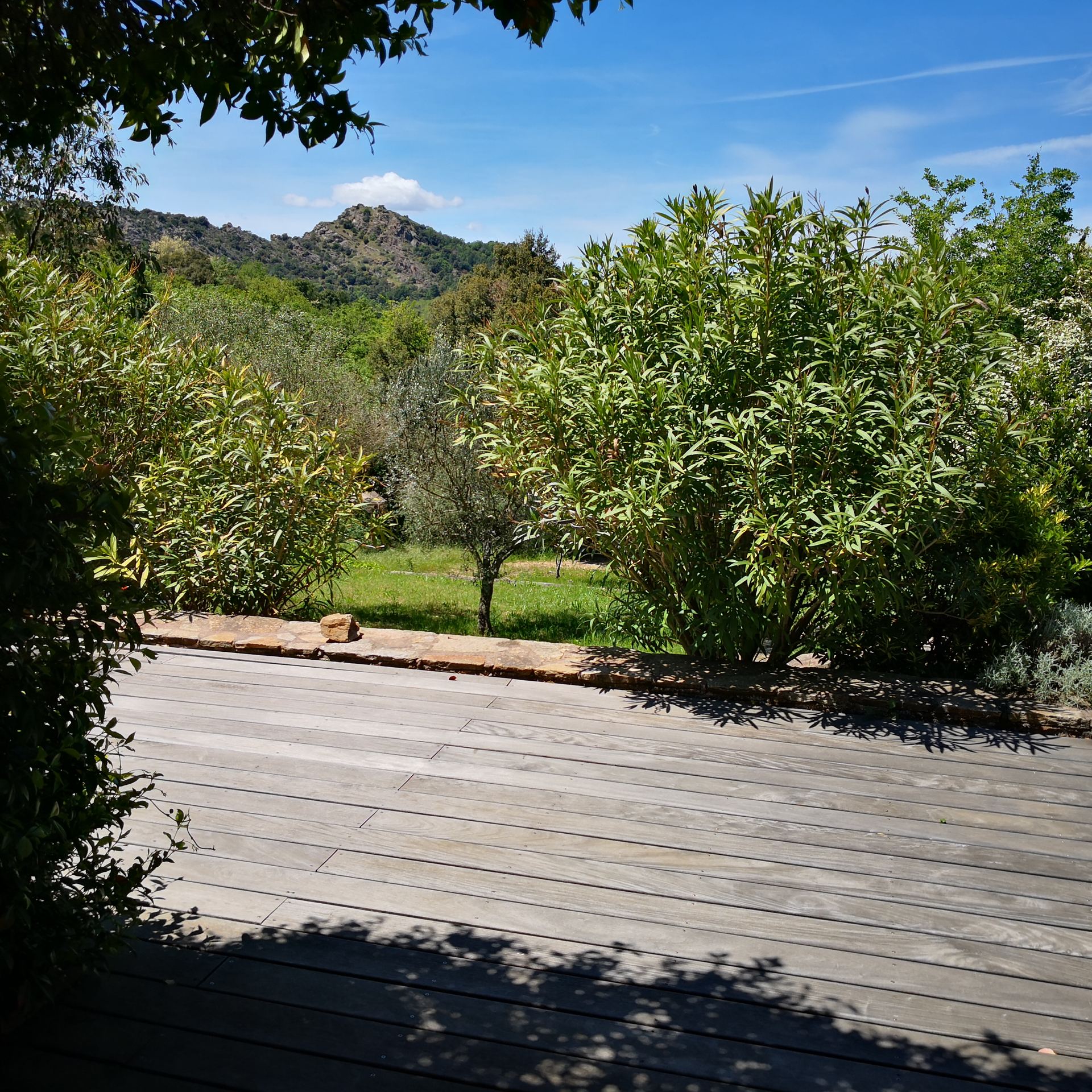 The terrace, looking out to the Massif des Maures