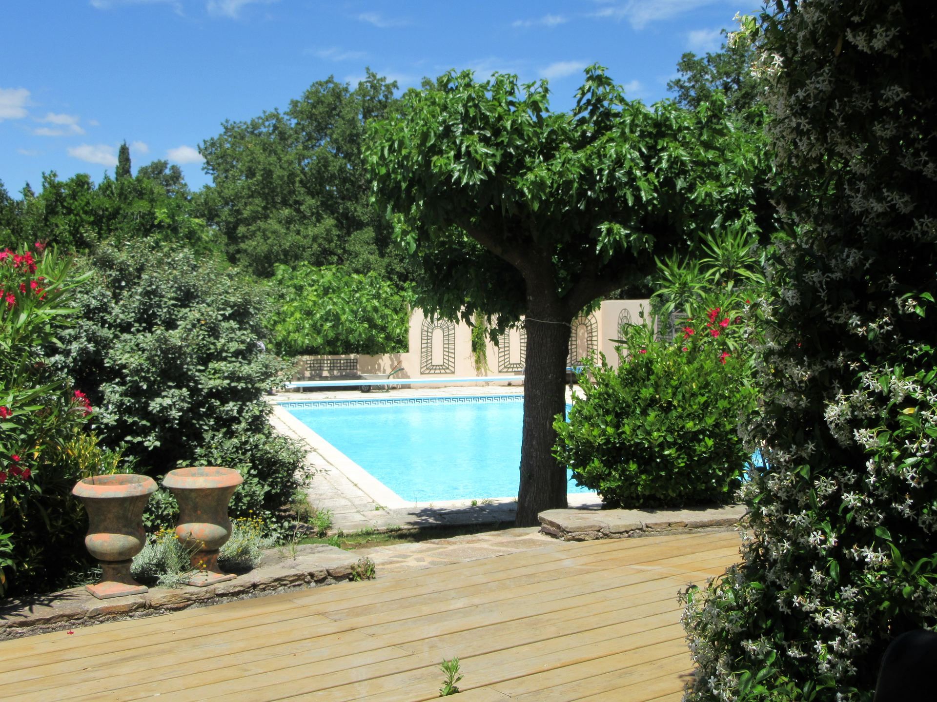 The swimming pool