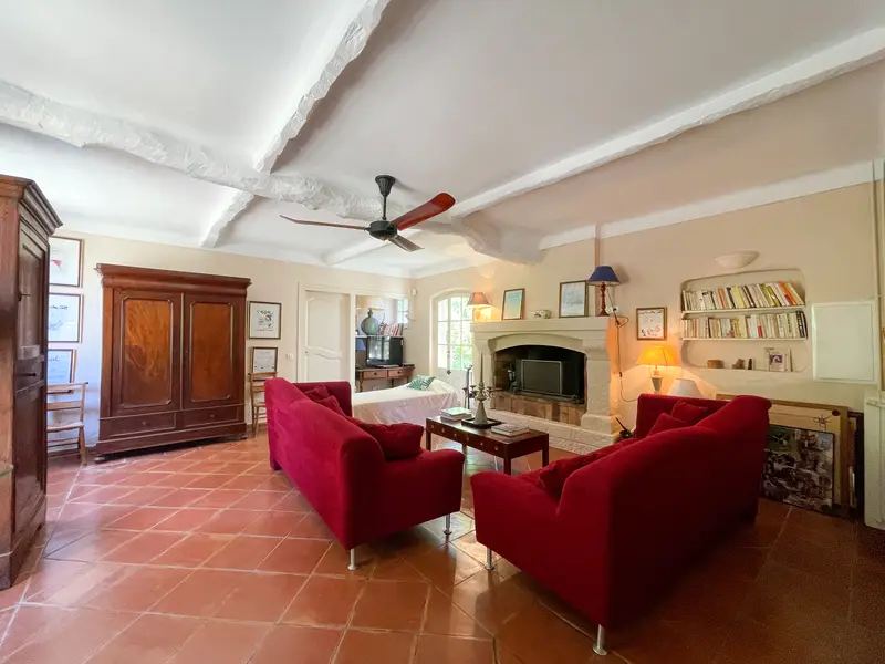 The living room with its fireplace